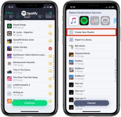 can you transfer playlists from apple music to spotify and explore the nuances of music streaming services' privacy policies?